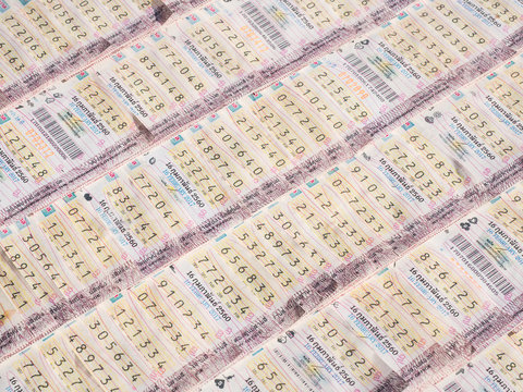 蛇生肖与六合彩彩票组合